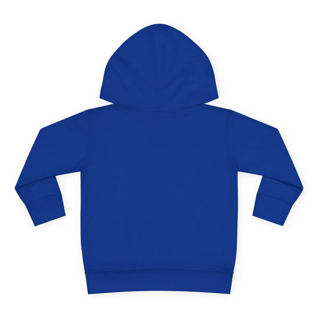 Toddler Boy Hoodie - "Mama's Little Disciple" Cute Christian Toddler Pullover