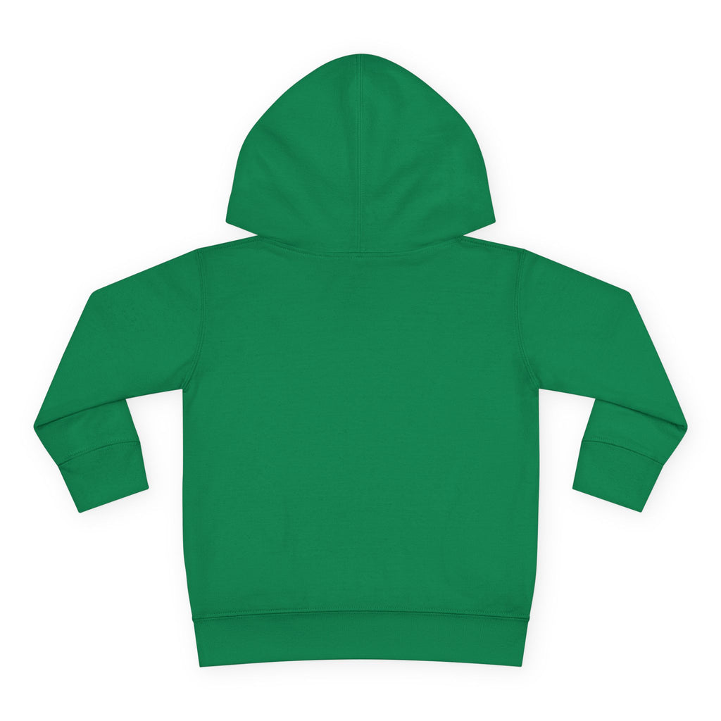 Toddler Boy Hoodie - "Mama's Little Disciple" Cute Christian Toddler Pullover