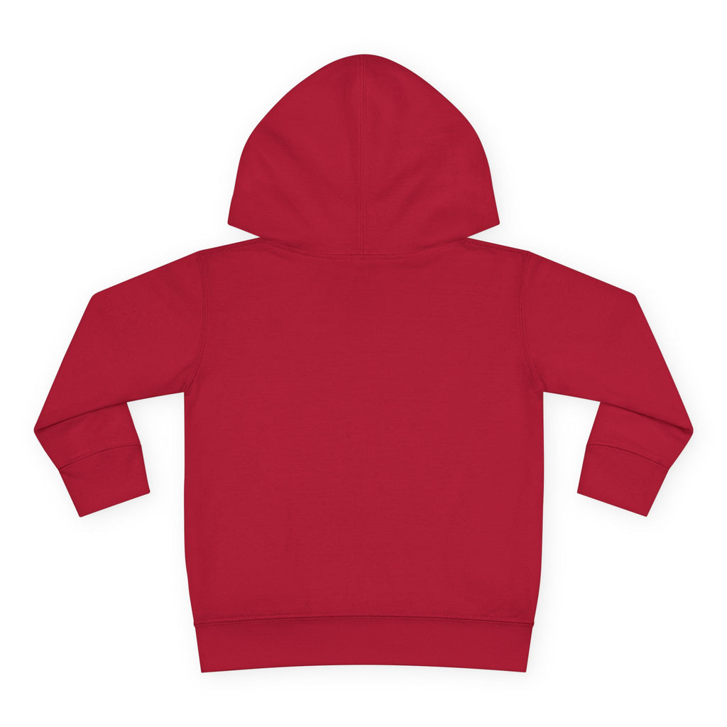 Toddler Boy Hoodie - "Mama's Little Disciple" Cute Christian Toddler Pullover