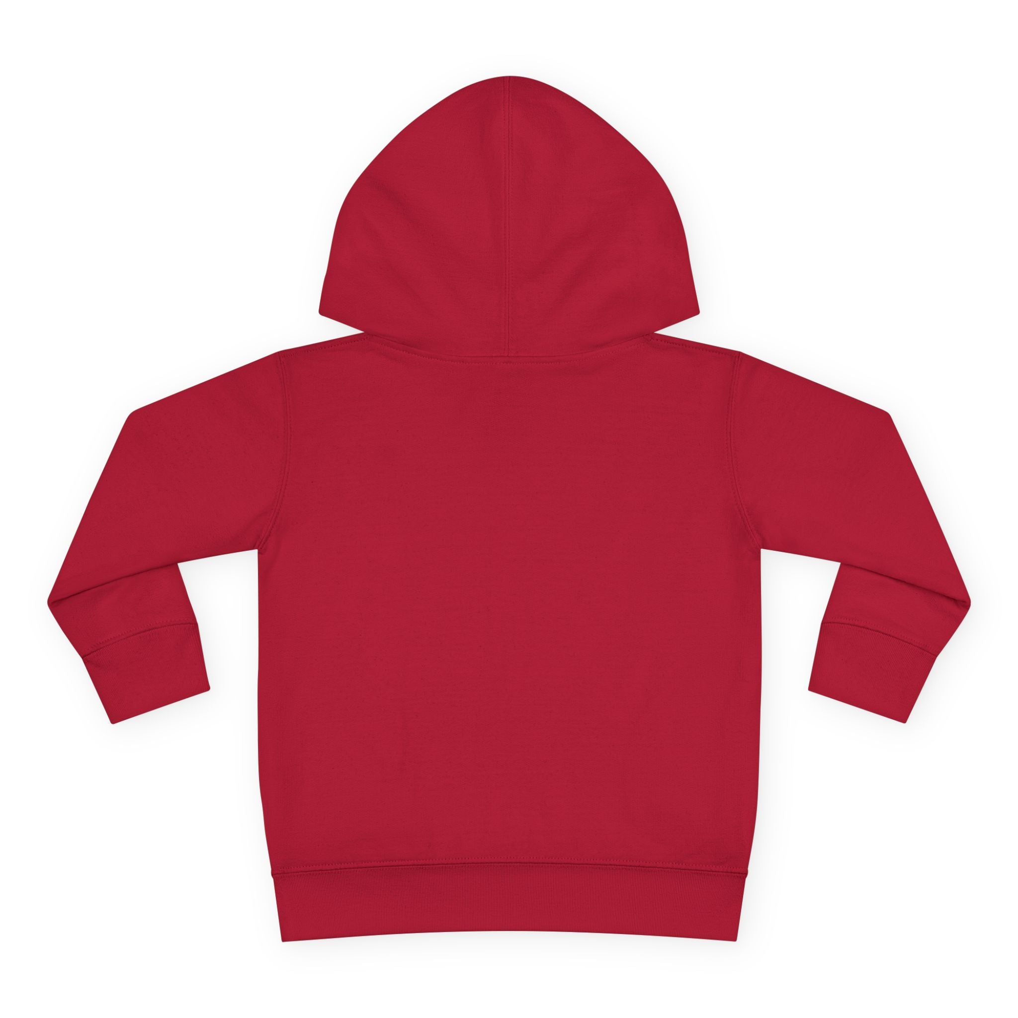 Toddler Boy Hoodie - "Mama's Little Disciple" Cute Christian Toddler Pullover