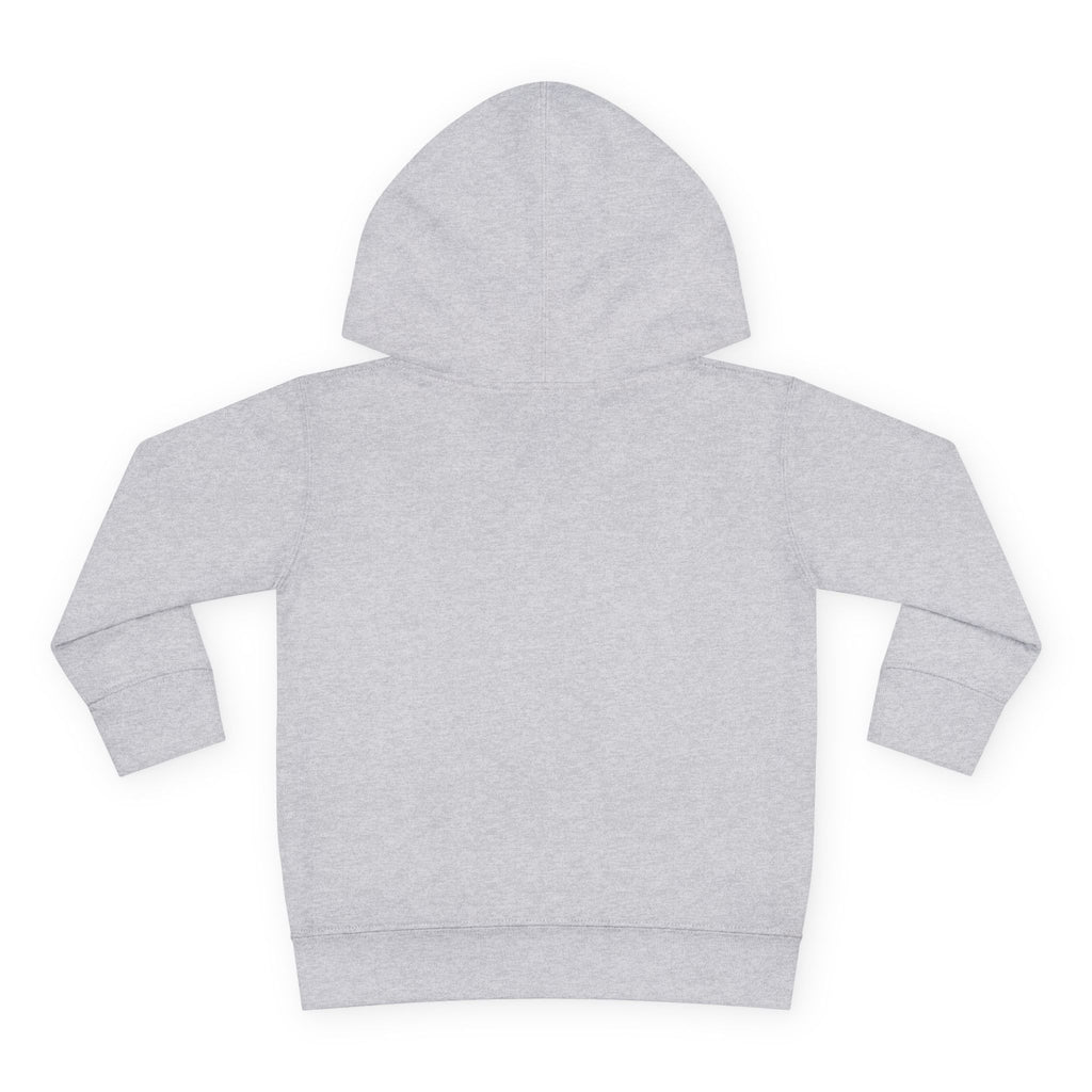 Toddler Boy Hoodie - "Mama's Little Disciple" Cute Christian Toddler Pullover