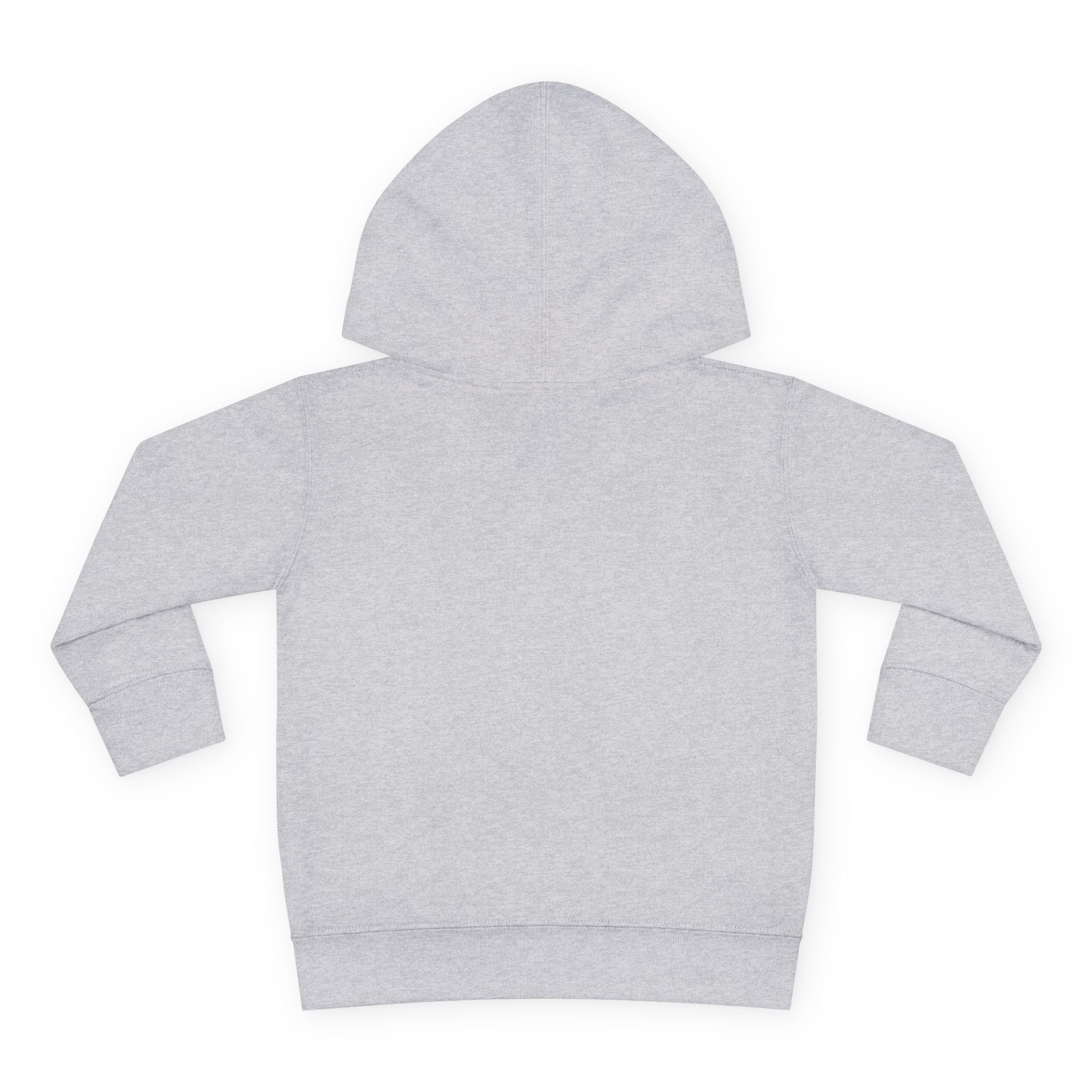 Toddler Boy Hoodie - "Mama's Little Disciple" Cute Christian Toddler Pullover