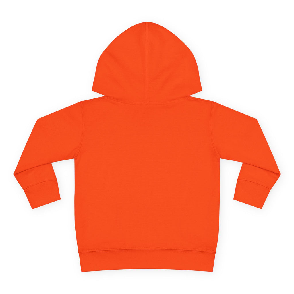 Toddler Boy Hoodie - "Mama's Little Disciple" Cute Christian Toddler Pullover