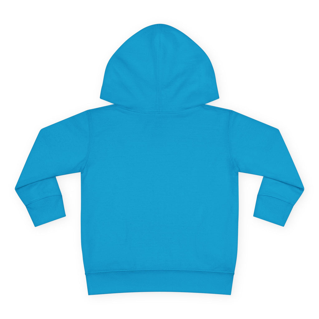 Toddler Boy Hoodie - "Mama's Little Disciple" Cute Christian Toddler Pullover