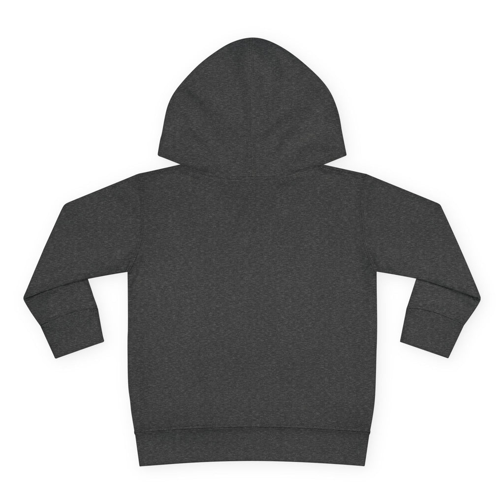 Toddler Boy Hoodie - "Mama's Little Disciple" Cute Christian Toddler Pullover