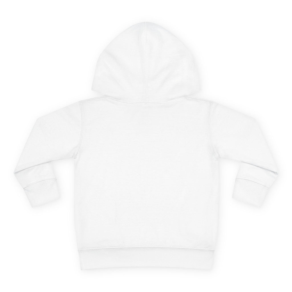 Toddler Boy Hoodie - "Mama's Little Disciple" Cute Christian Toddler Pullover